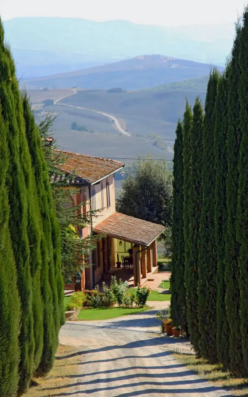 The corsini plant road